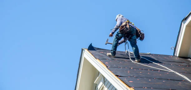 Best Emergency Roof Repair  in Lake Holiday, VA